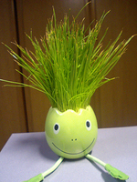 070325_1.jpg