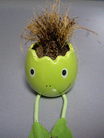 070820_nyokki.jpg