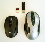 070911_mouse1.jpg